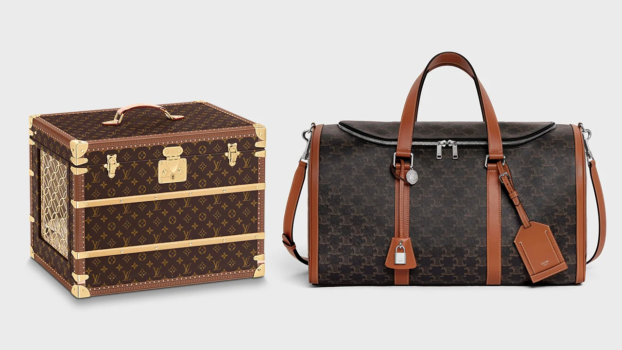 3 Luxury Dog Carrying Bags for VVIP Pets - Celine, Hermes, LV