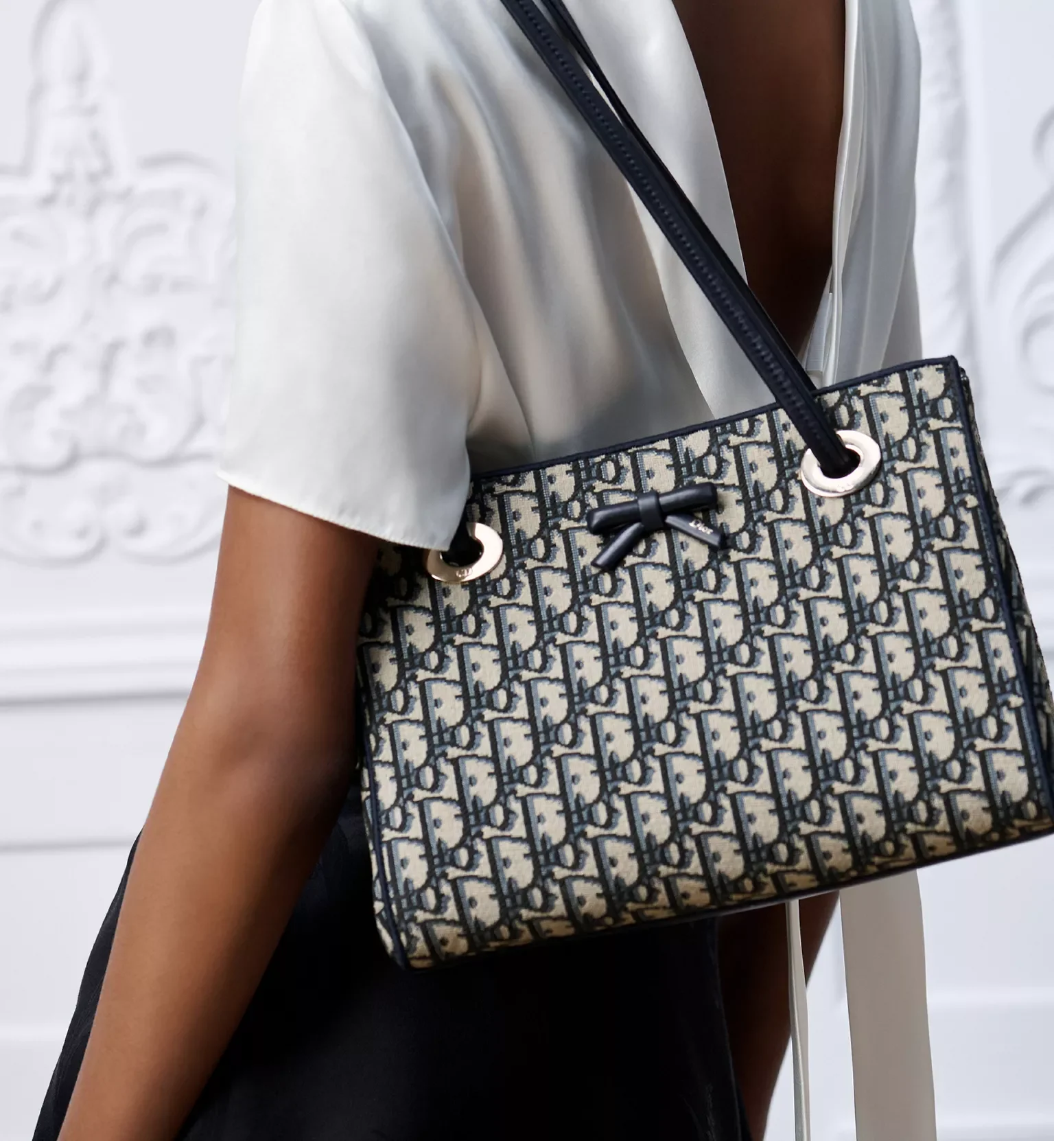 Designer bag print names comparison featuring Dior Oblique  canvas